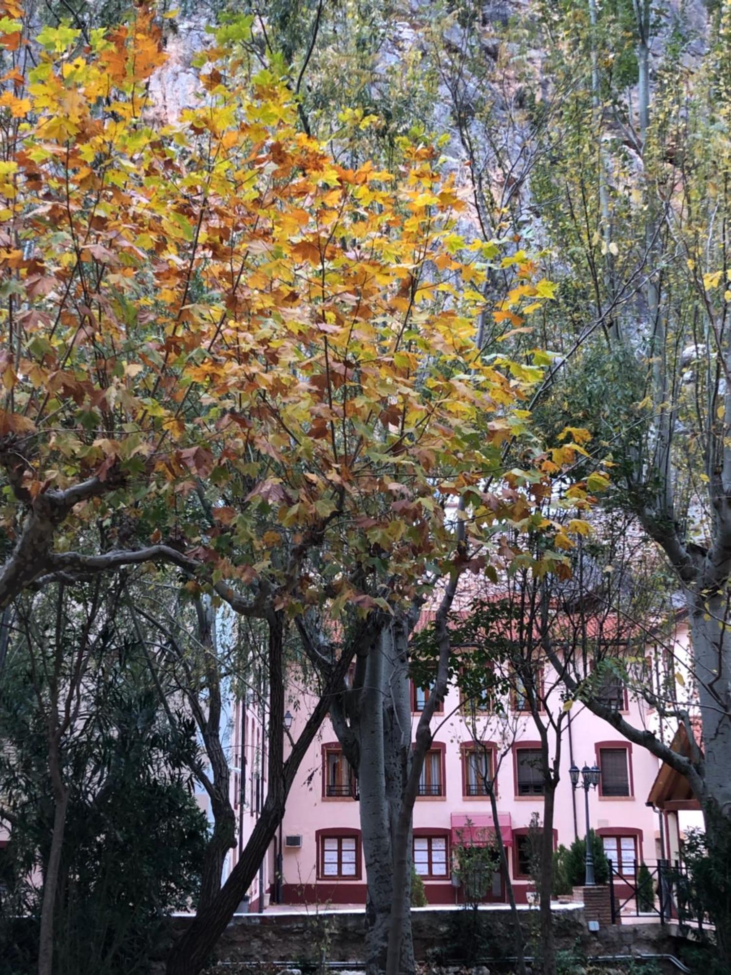 Hotel Balneario De La Virgen Jaraba Exterior photo